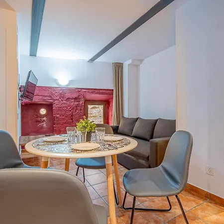 Apartment 1 En La Muralla Romana Junto A La Catedral *